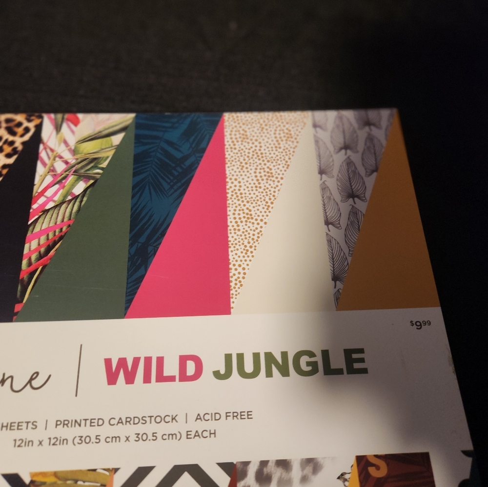 Park Lane Wild Jungle 12"x12" 24 sheets printed cardstock Scrapbooking Crafts - Picture 5 of 7